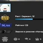 CS1090 //PREMIER/HOME MAIL/CS2 Account/10 lvl Steam/14.705 cs rating/PRIME/