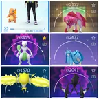 Lvl 55 | [Shiny Mewtwo 3k] | 58 Legendary | Zacian | Dialga | Zapdos | Regieleki | Entei | Mystic | 543