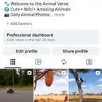 3.7k Wildlife Instagram Account | Secure Transfer | OG Email |0rganic Followers |