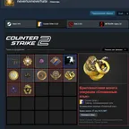 CS1276 // / / / 8 MEDALS + 2 DIAMOND COINS 9 YEARS OF SERVICE 551 HOURS IN KS 10 LVL STEAM