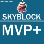 MVP+ 49 LVL 150M SKYBLOCK STATISTICS Minecraft Account HYPIXEL Full Access + Change All Data Instant Delivery