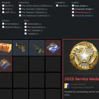 CS2 Account Prime Enabaled - 3 Medals - 2025 Service - Premier Season One/Two - 1 Case - 204H Played - Steam Lvl 10 - Co