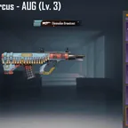 Radiant Citadel - SCAR-L - Kill Message | Wandering Circu - AUG - Lvl.3 | Fearless Battlestriker Set | Quantum Harmony S