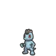 Machop
