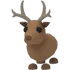 Reindeer