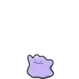 Ditto