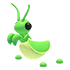 Praying Mantis