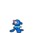 Popplio