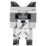 Raccoon