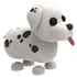 Dalmatian