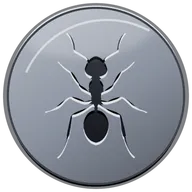 The Ants: UK