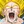 Noisy