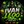 ivanleoo