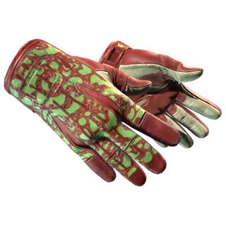 Sport Gloves