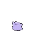 Ditto
