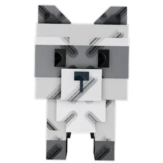 Raccoon