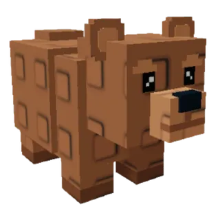 Bear