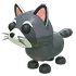 Raccoon
