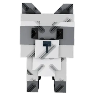 Raccoon
