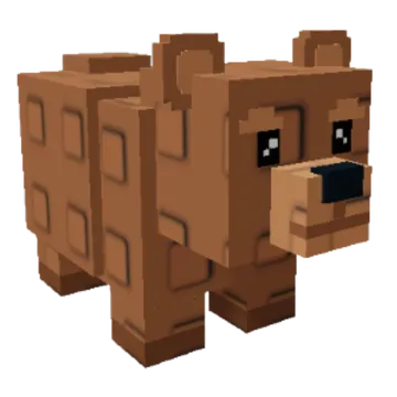 Bear