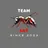 Ant team