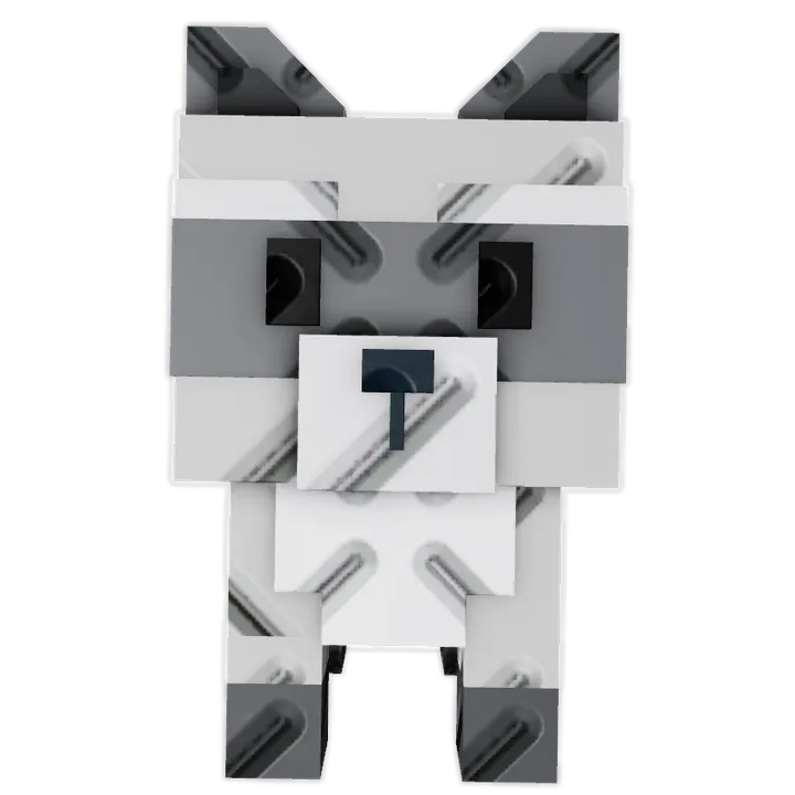 Raccoon
