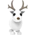 Arctic Reindeer