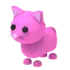 Pink Cat