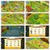 HAY DAY LVL-160 RARE FARM BARN STRONGE 6900 SILO 2600- PURE HAND MADE FARM- 433 GEMS-COIN 2.5M-CHEAP-WITH FREE CLASH OF 