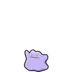 Ditto