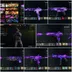 Dark Matter on 33 Guns  🔥 | Level 55  | 500 Total Camo⚡ |BO6 / Warzone 4  | Handmade  | PC  PS Xbox  | Ranked Ready