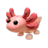 Axolotl
