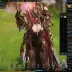 Lost Ark Valkyrie 1646 GS Account