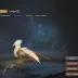 Last Island of Survival Account with full talents and dual branch