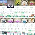 878 PREMIUM BATTLE PASS | 51 SL [ 49 TRADEABLE ] | 9x SHINY SPECIAL BG  | COPENAGHEN BG | 10x SL MEWTWO | 791 LEGENDARY 