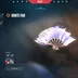 EU 24 skins | Ignite Fan | Ion Vandal | Prime Vandal | Neptune Spectre | Prime//2.0 Phantom | Minima Phantom