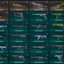 VALORANT 6 KNIVES | 81 skins | 183 LVL | Full access | Warranty | Gift