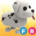 Adopt Me FR Dalmatian 0 Mobile TH0 Account