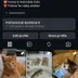 2k Cat Instagram Page | Secure Transfer | OG Email |0rganic Followers |