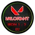 EU Iron Rank 3 - Level 20 - 1 Free Agent - Rank Ready Ingame - Name Changeable - Instant Delivery - Best for champions