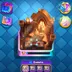 Elite CR Account  12,000 Trophies Max Cards  30 Evos
