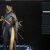MR 13 105 750 Complated - 13x Warframe MAX 33x Primary Gun - 21x Secondary Gun - 32x Meele