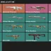 PREMIUM ASIA PACIFIC ARTISAN COLLECTION REAVER VANDAL PRIME VANDAL TOTAL 17 SKINS FULLY SAFE AND SECURED INSTANT DELIVER