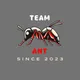Ant team