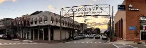 عناصر Brookhaven RP